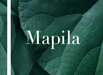 Mapila